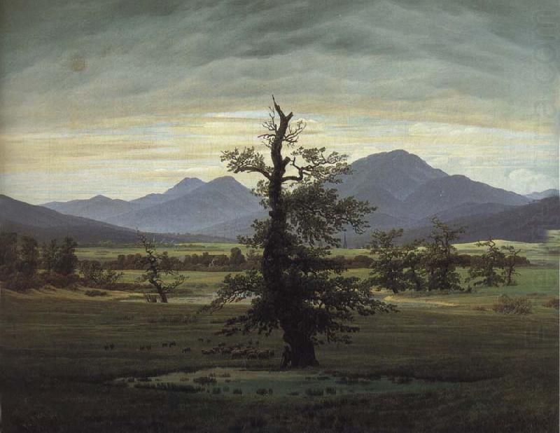 Caspar David Friedrich The Solitary Tree oil painting picture